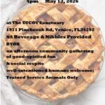 All Ages Apple Pie "Happy Hour"